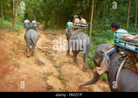 Thaïlande - Khao Lak, Parc National de l'équitation d'éléphant dans la forêt tropicale Banque D'Images