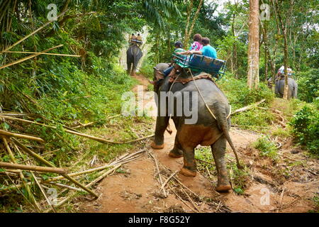 Thaïlande - Khao Lak, Parc National de l'équitation d'éléphant dans la jungle tropicale Banque D'Images