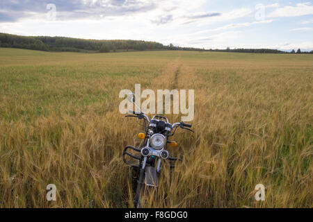 Garée dans l'herbe haute moto Banque D'Images