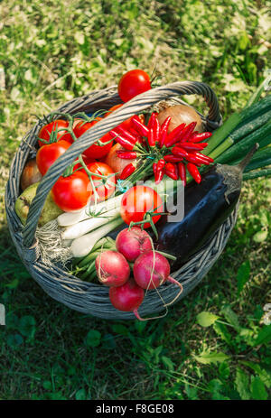 High angle view of panier de légumes Banque D'Images