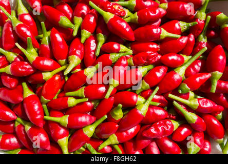 Red Hot Chili Peppers Banque D'Images