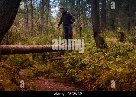 Caucasian man balancing on fallen tree Banque D'Images