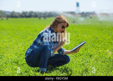 Caucasian farmer using digital tablet in field Banque D'Images