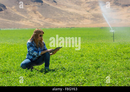 Caucasian farmer using digital tablet in field Banque D'Images