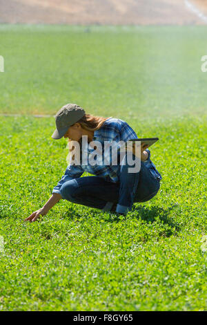 Caucasian farmer using digital tablet in field Banque D'Images