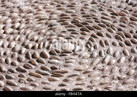 Une photo d'une route en pierre en Amérique du Sud Banque D'Images