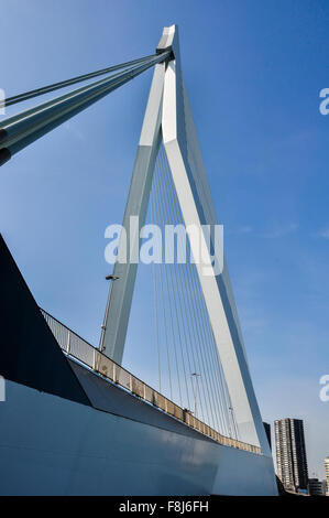 Pont Erasmus sur Meuse à Rotterdam Pays-Bas Hollande Banque D'Images