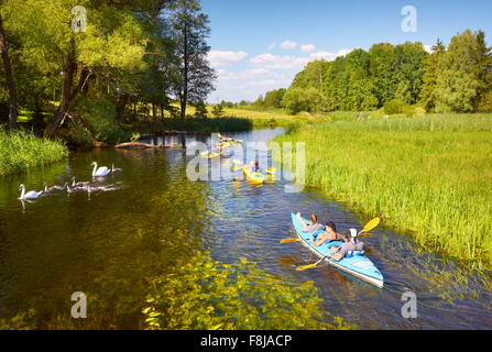 Kayak à la rivière Krutynia, Région de la Mazurie, Pologne Banque D'Images