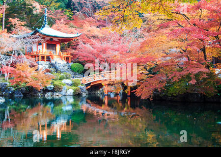 Kyoto, Japon - 24 novembre 2013 : saison d'automne,le laisser changer de couleur rouge dans le japon Temple Banque D'Images