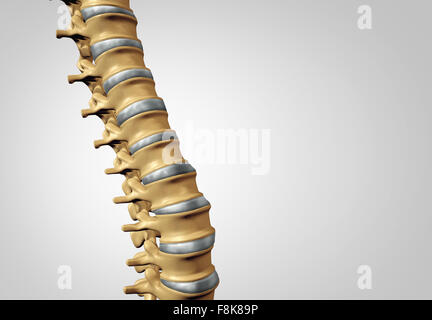 Diagnostic de la colonne vertébrale humaine comme concept d'un système de soins de santé médical anatomie symbole avec la structure osseuse du squelette et disques intervertébraux libre avec copie espace. Banque D'Images