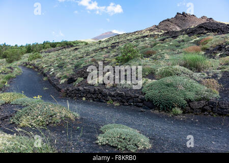 Chemin sur le mont Etna, schiena dell'asino aller à la Vallée del Bove Banque D'Images