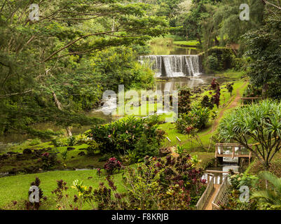 Wai Kai balades boucle / randonnée sentier mène au barrage en pierre historique utilisée pour irriguer une plantation sur Kauai, Hawaii Banque D'Images