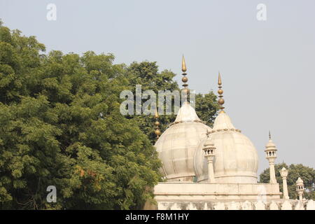 DELHI, INDE - NOV 25 : Détail architectural de Moti Masjid, en anglais Pearl mosquée, une mosquée de marbre blanc à l'intérieur du Fort Rouge c Banque D'Images