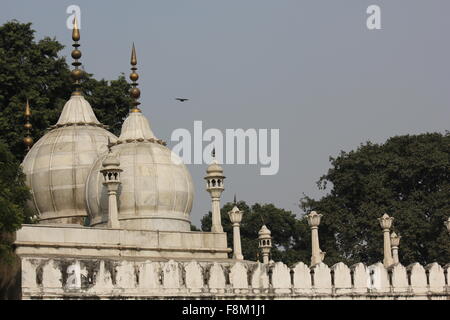 DELHI, INDE - NOV 25 : Détail architectural de Moti Masjid, en anglais Pearl mosquée, une mosquée de marbre blanc à l'intérieur du Fort Rouge c Banque D'Images