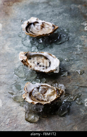 Ouvert les huîtres de Claire Amendes sur plaque en pierre avec de la glace Banque D'Images