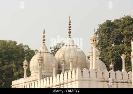 DELHI, INDE - NOV 25 : Détail architectural de Moti Masjid, en anglais Pearl mosquée, une mosquée de marbre blanc à l'intérieur du Fort Rouge Banque D'Images