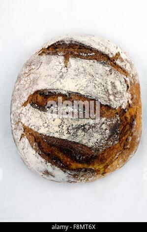 Pain de campagne italienne Banque D'Images