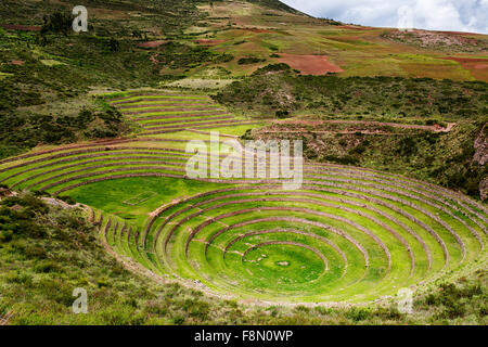 Inca terrasses circulaires de Moray, dans la Vallée Sacrée, au Pérou. Moray est un site archéologique, à proximité du village de Maras. Banque D'Images