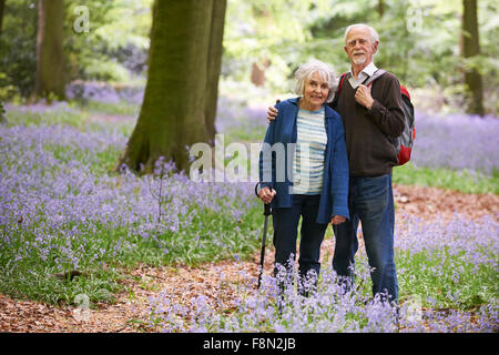 Happy Couple Bois Bluebell Banque D'Images