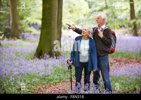 Happy Couple Bois Bluebell Banque D'Images