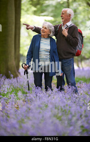 Happy Couple Bois Bluebell Banque D'Images