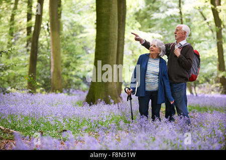 Happy Couple Bois Bluebell Banque D'Images