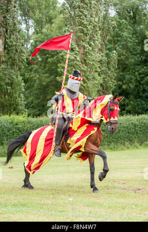 Chevalier médiéval sur un cheval avec le drapeau Banque D'Images