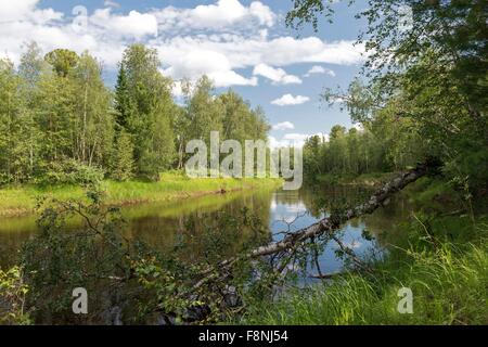 De beaux paysages de la nature sauvage de la péninsule de Yamal, Russie Banque D'Images