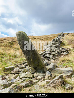 Mur en pierres sèches effondré sur la lande en campagne, Derbyshire Peak District National Park, Angleterre, RU Banque D'Images