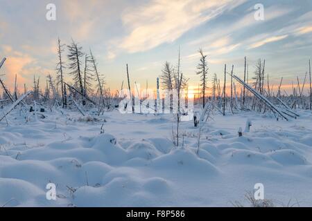 De beaux paysages de la nature sauvage de la péninsule de Yamal, Russie Banque D'Images