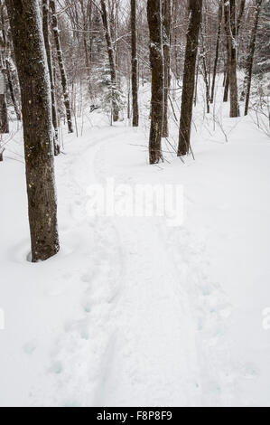 Sentier de raquette au Parc national du Mont-Mégantic au Canada Banque D'Images