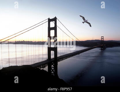 États-unis, Californie, le Golden Gate Bridge avec mouette Banque D'Images