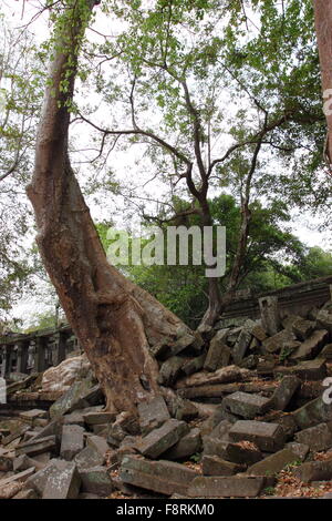 Ruines du temple de Beng Mealea, Angkor, Cambodge Banque D'Images