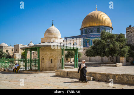 Le dôme du Rocher, un sanctuaire musulman sur le mont du Temple à Jérusalem, Israël, Moyen Orient. Banque D'Images