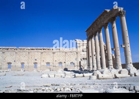 Une partie des ruines de Palmyre en Syrie. Palmyre est une ancienne ville sémitique dans le gouvernorat de Homs, en Syrie. Des découvertes archéologiques remontent à la période néolithique, et la ville a été signalée pour la première fois au début du deuxième millénaire avant J.-C.. Palmyre a changé de mains à plusieurs reprises entre les différents empires, avant de devenir un sujet de l'Empire romain dans le siècle. En 2015, Palmyre est venu sous le contrôle de l'État islamique d'Irak et du Levant (EIIL), qui plus tard a détruit un certain nombre de bâtiments du site. Banque D'Images