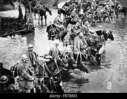 Train français chevaux se reposant dans une rivière sur le chemin de Verdun Banque D'Images