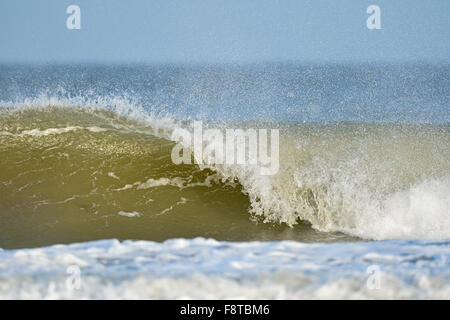 Énorme vague avec spray offshore se plante sur la plage, journée ensoleillée à la mer du Nord, Helgoland, Allemagne. Banque D'Images