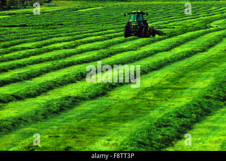 AJAXNETPHOTO. SOUTHAMPTON, Angleterre. - L'herbe d'ENSILAGE RÉCOLTE - UN TRACTEUR LE FAUCHAGE D'UN CHAMP D'HERBE en andains pour faire de l'ensilage de bovins. PHOTO:JONATHAN EASTLAND/AJAX REF:151504 2 Banque D'Images