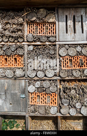 Hôtel pour insectes abeilles solitaires et lieu de nidification pour les invertébrés offrant des trous dans des nids tiges creuses, briques et blocs en bois Banque D'Images