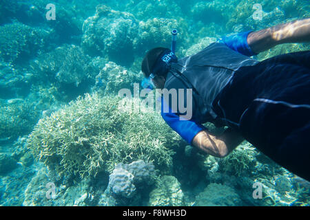 Îles Fidji, Nukubati Island Resort, le personnel des tubas plongée reef Banque D'Images