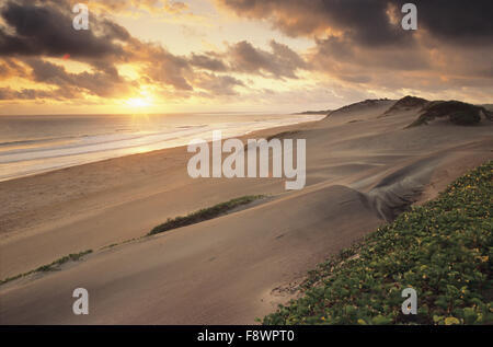 Coucher du soleil au sommet de dunes de Sigatoka, Îles Fidji Banque D'Images