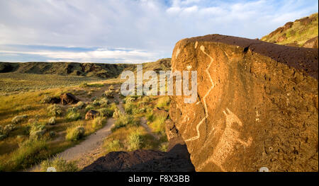 Petroglyphs in Rinconada Canyon, Monument national Petroglyph, Albuquerque, Nouveau Mexique USA Banque D'Images