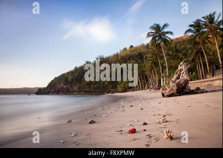 Crystal bay beach, à distance, sauvage et intacte plage naturelle sur Nusa Penida island en Indonésie. plage bordée de cocotiers et d'une escapade tropicale exotique Banque D'Images