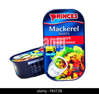 Tin de Princes filets de maquereaux à l'une riche sauce tomate sur fond blanc Banque D'Images