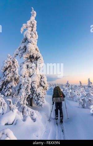 Paysages d'hiver au ski par Banque D'Images