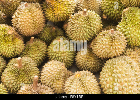 Durian asiatique exotique de fruits marché cambodge kep Banque D'Images