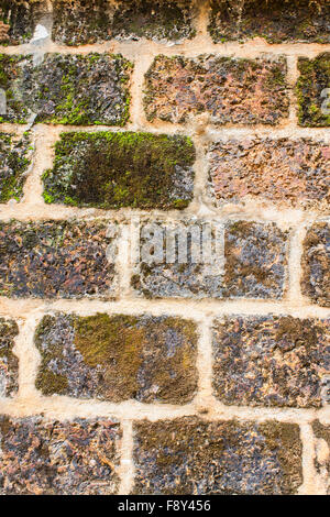 Vieux Mur en pierre de latérite, texture Banque D'Images