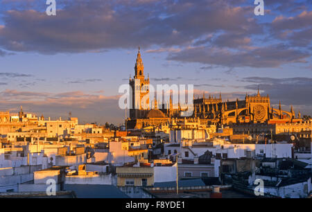 La cathédrale et les toits de la ville. Séville, Andalousie, espagne. Banque D'Images