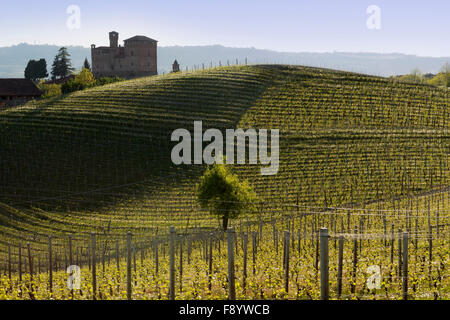 Printemps vue du château de Grinzane Cavour le patrimoine de l'Unesco sur le territoire de l'Italie Piémont Langhe Banque D'Images