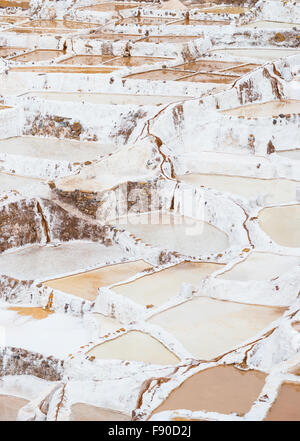 Salines en terrasses aussi connu comme 'alineras de Maras', parmi les plus pittoresques de la région de destination de voyage à Cusco, Pérou. Le téléobjectif Banque D'Images